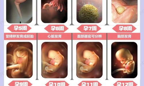 宫颈肥大的用药网 | 宫颈肥大用药后会变小吗,宫颈肥大用药期间可以同房吗